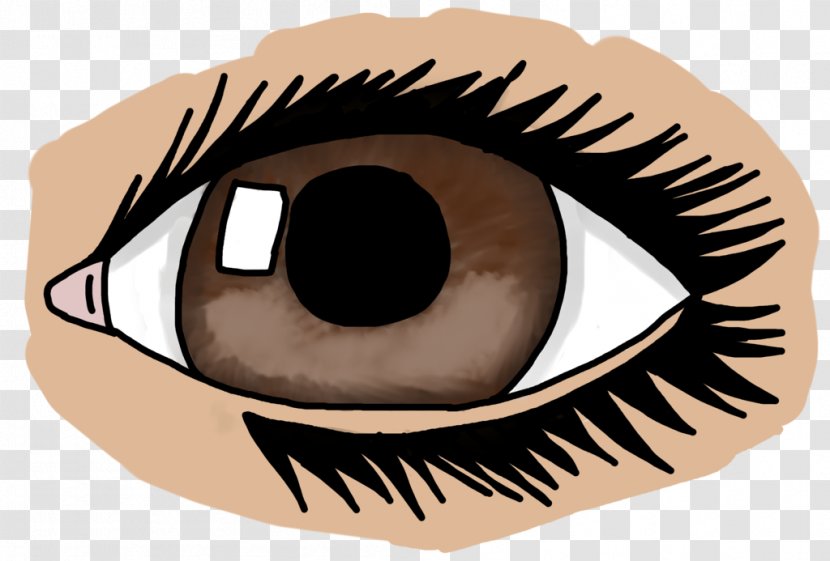 Eyelash Clip Art Illustration Vector Graphics - Flower - Eye Transparent PNG