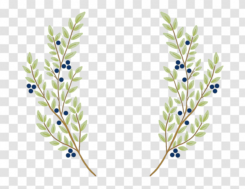 Plant Flower Grass Family Twig Delphinium Transparent PNG