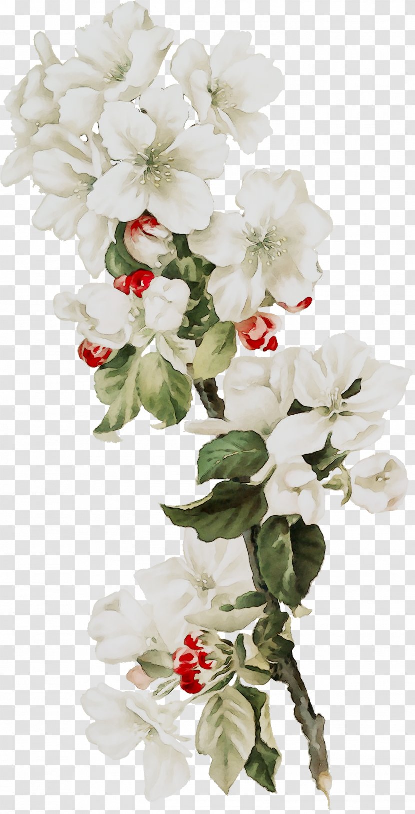 Floral Design Cut Flowers Flower Bouquet Plant Stem - Herbaceous Transparent PNG