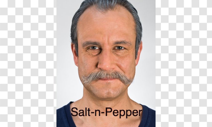 Moustache Beard Chin Hair Face - Cheek - Stalin Transparent PNG