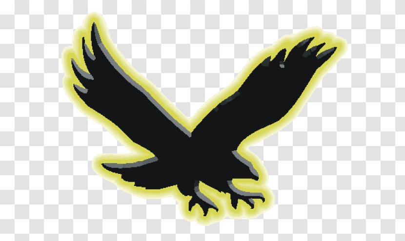 Waverly-Shell Rock Senior High School Middle West Cedar Elementary - Bird Of Prey Transparent PNG
