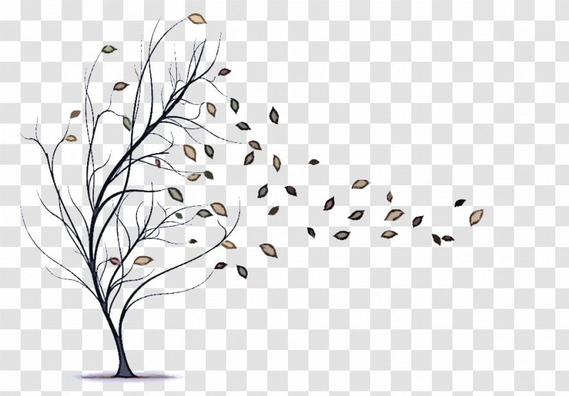 Leaf Tree Branch Plant Twig - Blackandwhite - Stem Transparent PNG