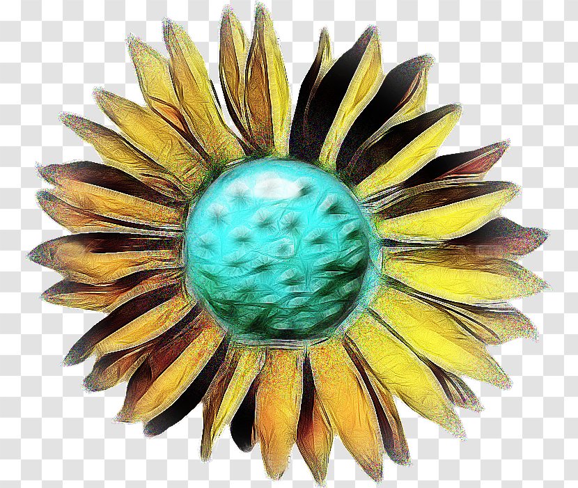 Sunflower - Flower Transparent PNG