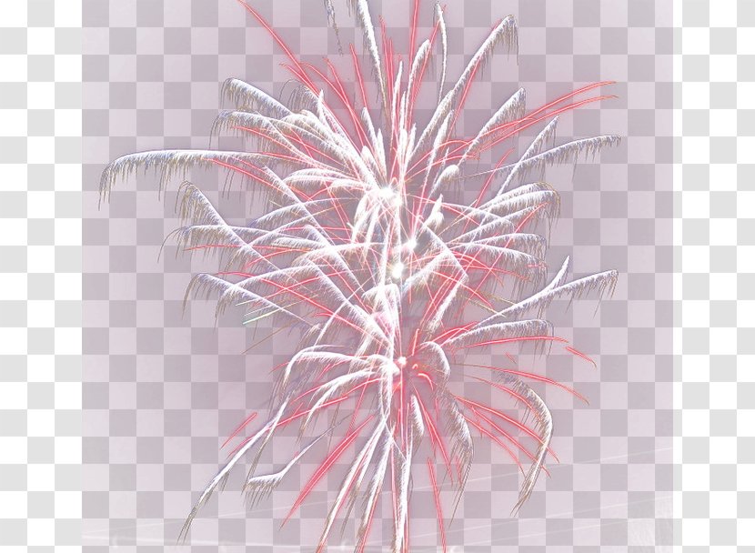 Fireworks Festival Icon - Flower Transparent PNG