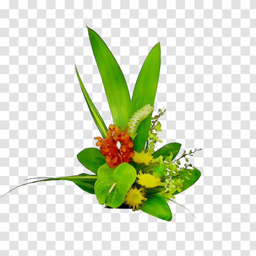 Floral Design Cut Flowers Flower Bouquet - Flowering Plant - Leaf Transparent PNG