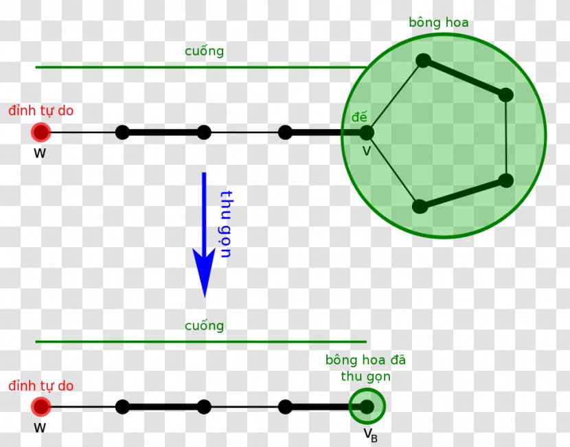 Blossom Algorithm Matching Graph Theory - Parallel - VI Transparent PNG