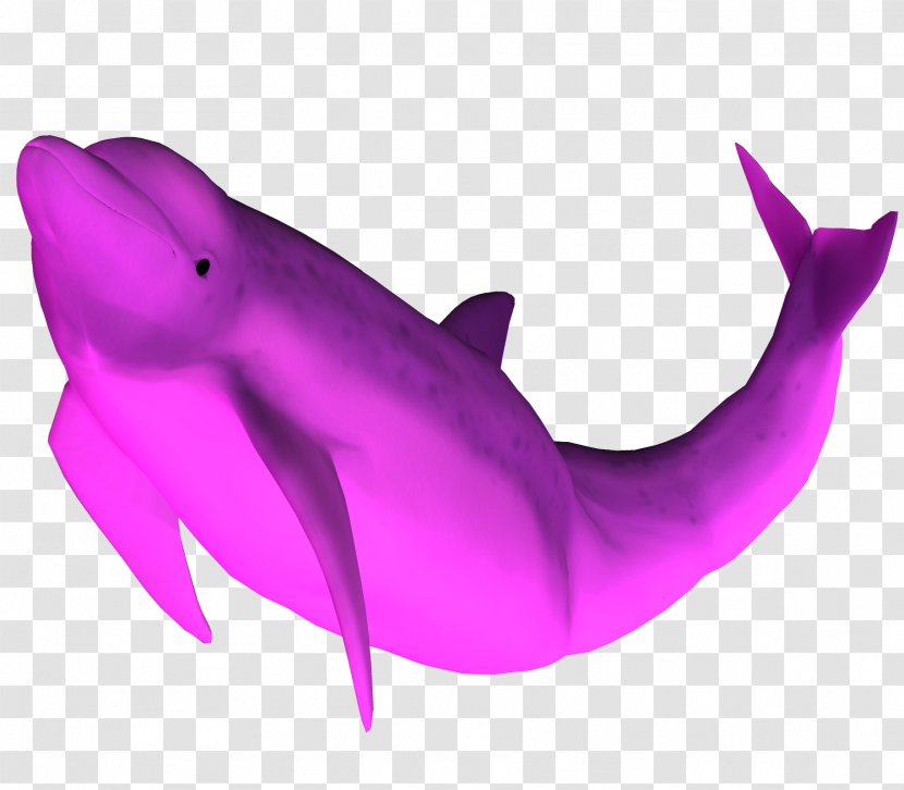 Amazon River Dolphin Pink+Dolphin Clothing Desktop Wallpaper - Directory Transparent PNG