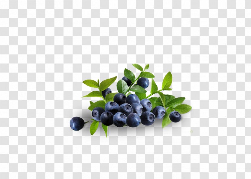 Dietary Supplement Bilberry Blueberry Herb Fruit - Perforate St Johnswort - Grape Transparent PNG