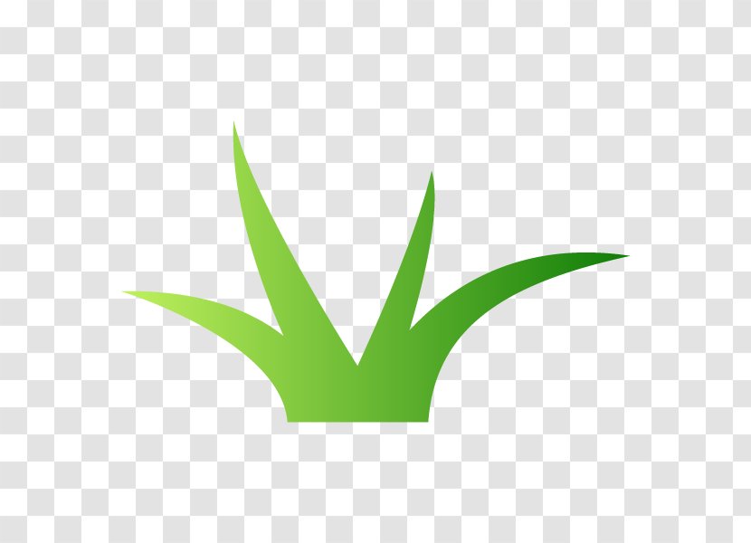 Leaf Logo Font Plant Stem Line Transparent PNG