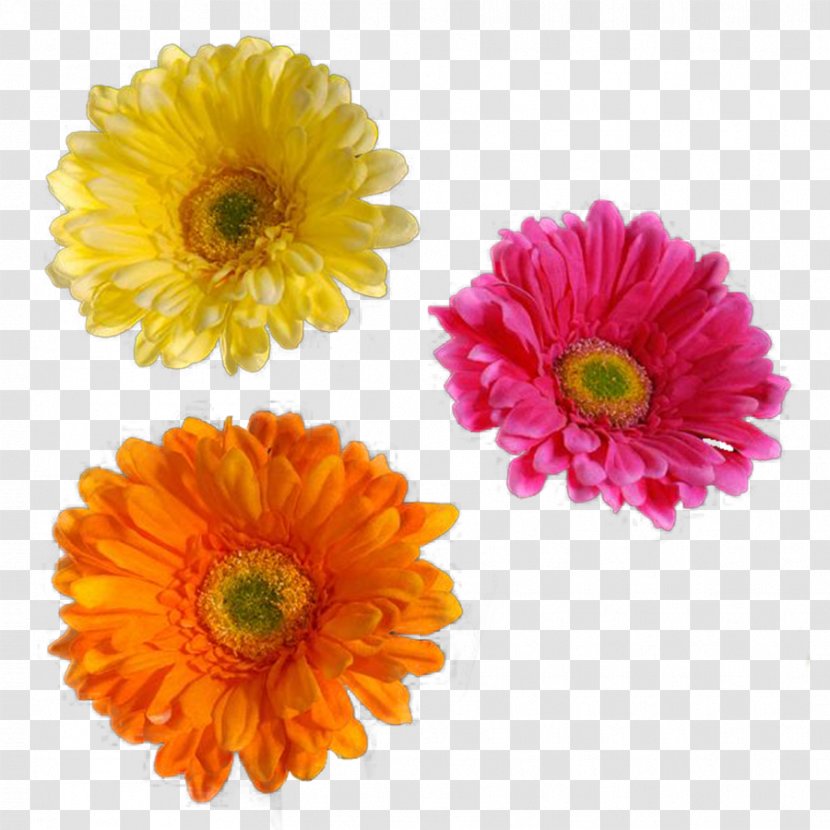 Flores (Flowers) Clip Art - Cut Flowers - Flower Spring Transparent PNG