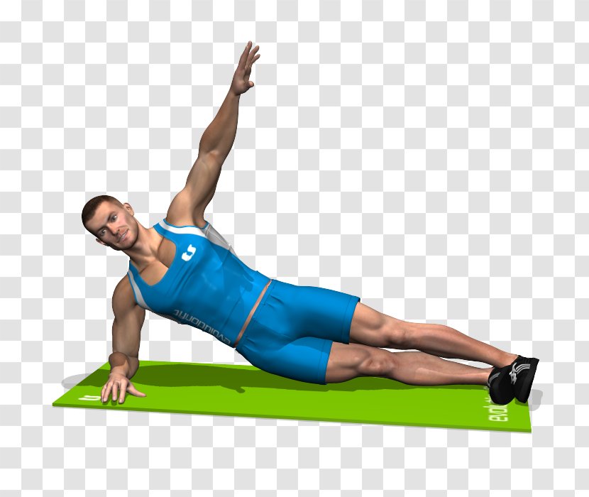 Plank Pilates Rectus Abdominis Muscle Abdomen Abdominal External Oblique - Frame - Fitness Transparent PNG