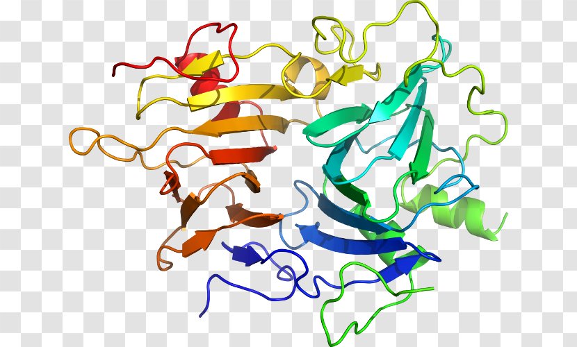 KLK6 Kallikrein Gene Protease Protein - Cartoon - Flower Transparent PNG
