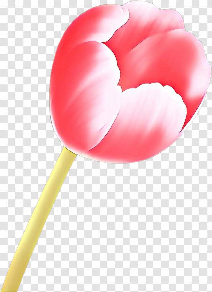 Pink Tulip Petal Plant Heart Transparent PNG