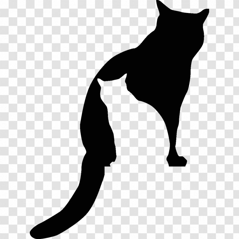 Whiskers Black Cat Silhouette Kitten - And White Transparent PNG