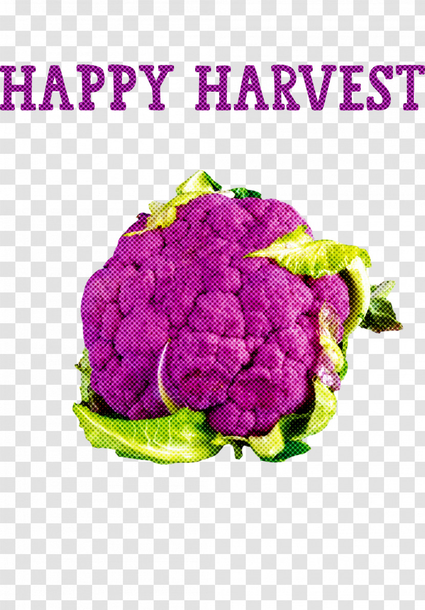 Happy Harvest Harvest Time Transparent PNG