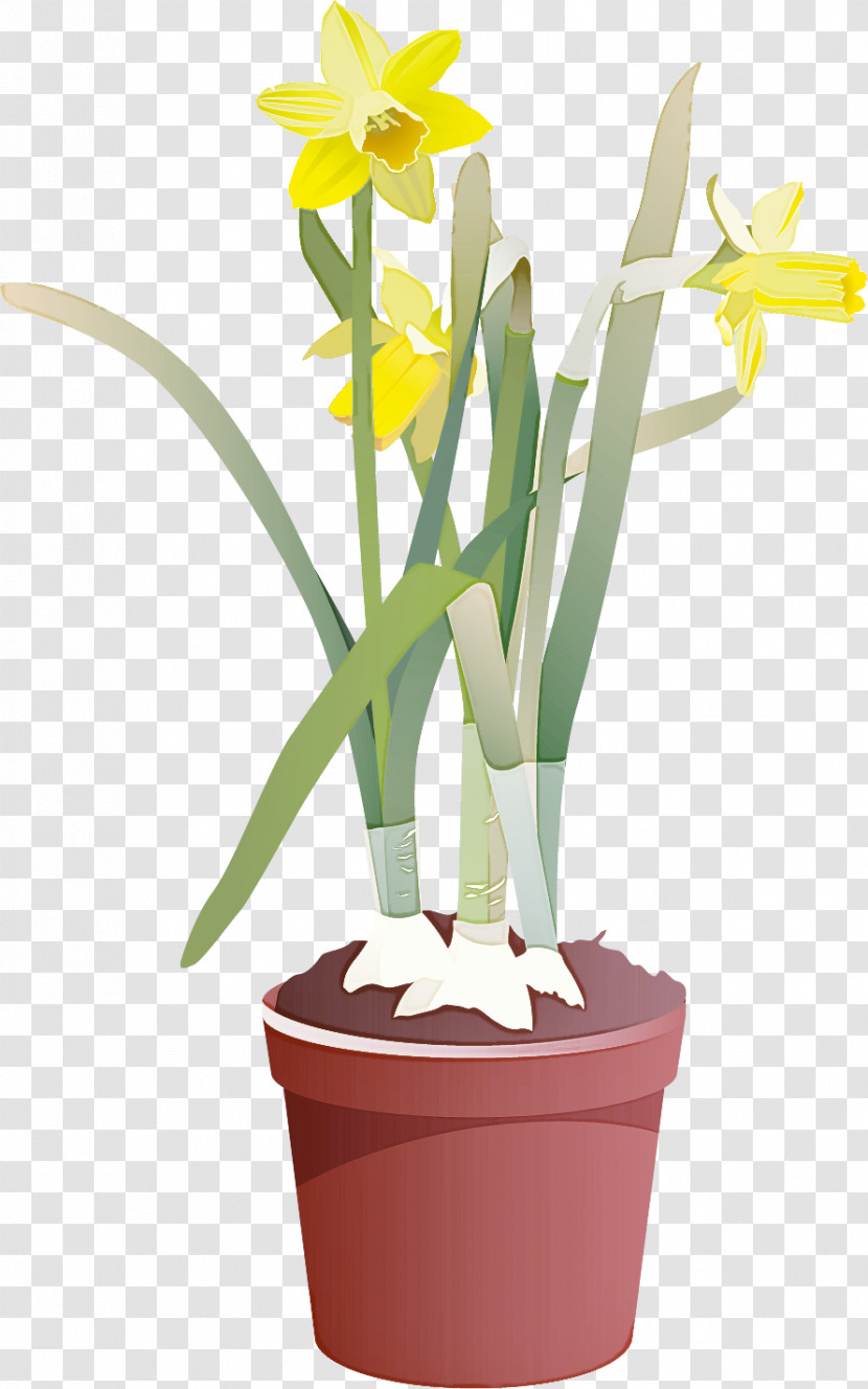 Flower Floral Vase Transparent PNG