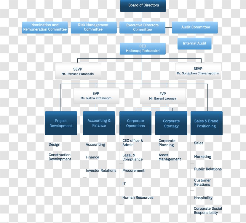 Organizational Chart Structure Property Developer Corporation - Organization Transparent PNG