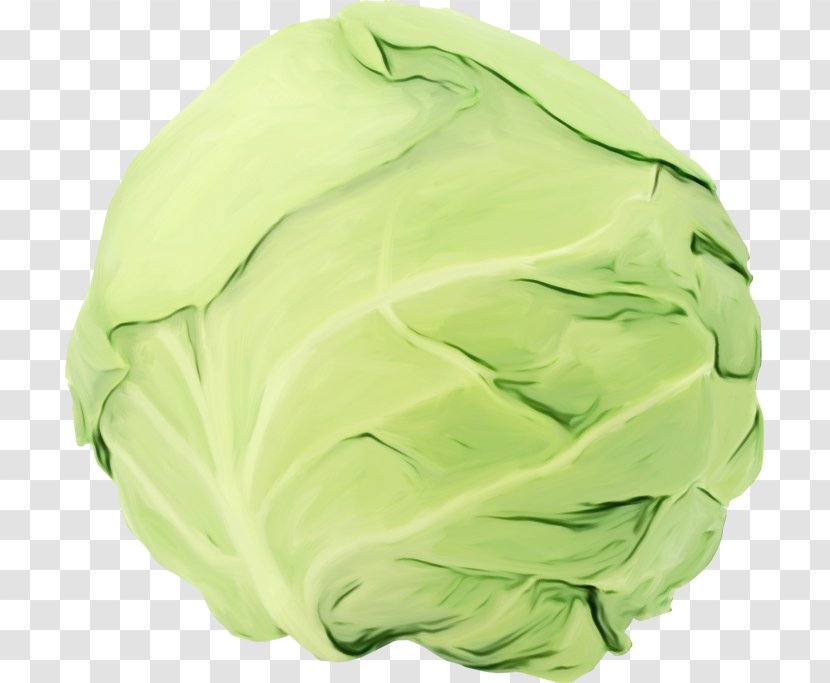 Green Background - Greens - Wild Cabbage Transparent PNG