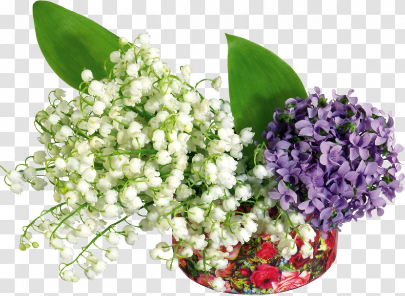 Lily Of The Valley Flower Desktop Wallpaper - Day Transparent PNG