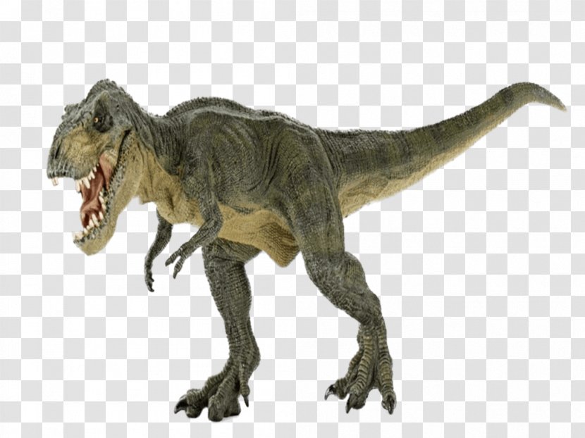 Tyrannosaurus Stegosaurus Brachiosaurus Giganotosaurus Dinosaur - Toy Transparent PNG