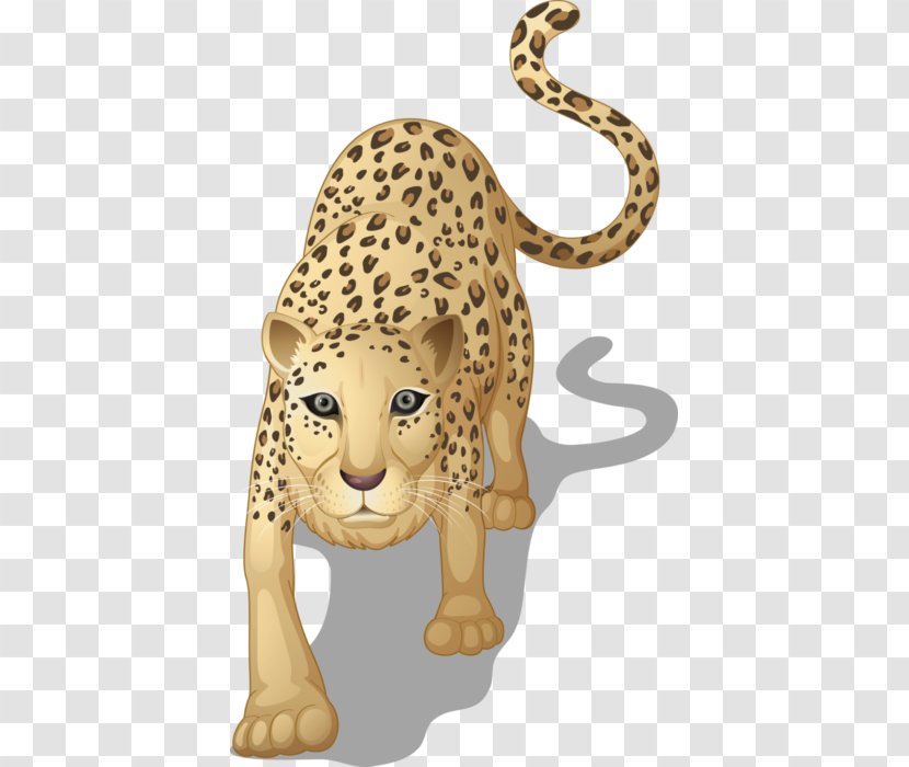 Leopard Big Cat Rescue Royalty-free - Like Mammal Transparent PNG