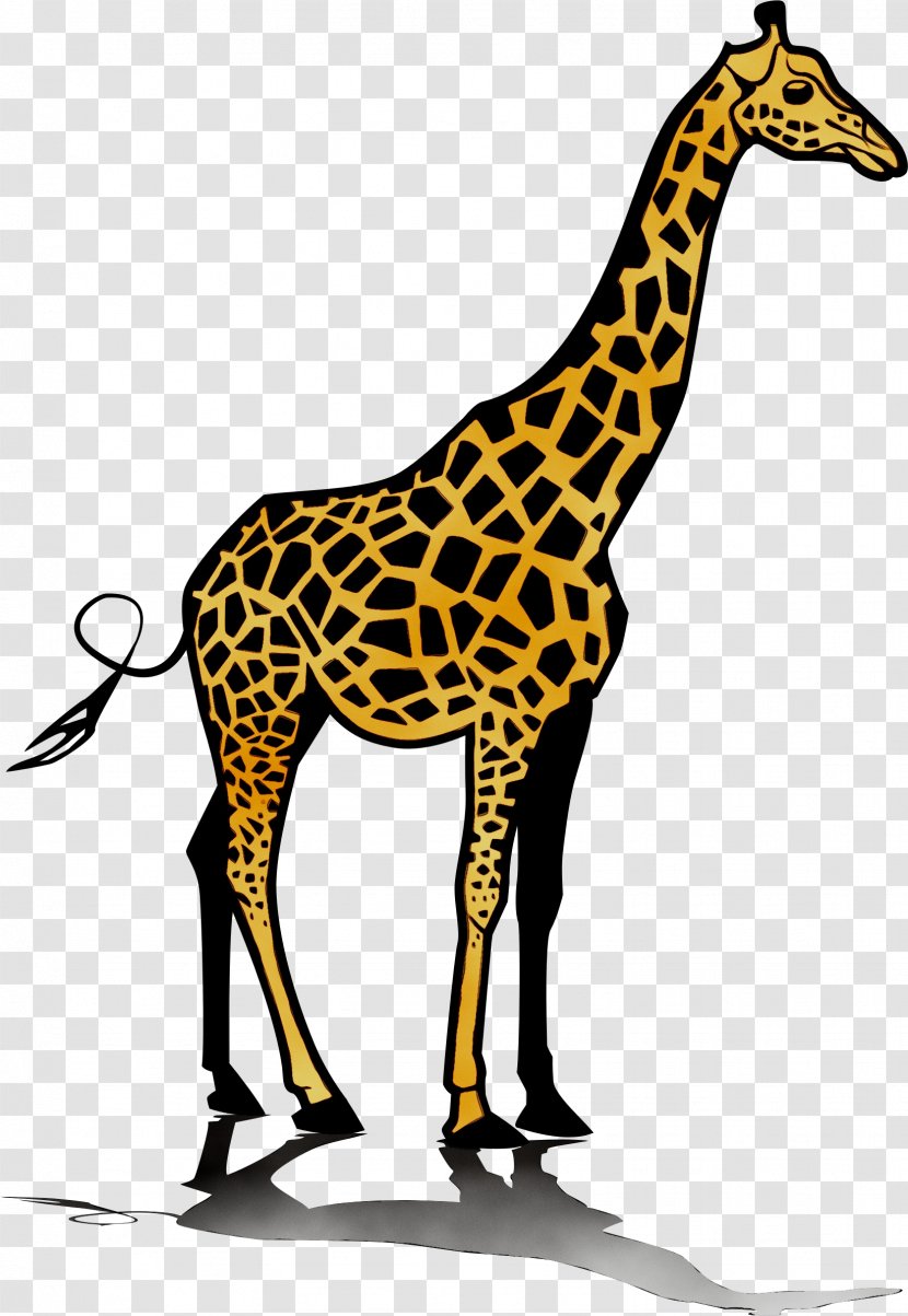 Giraffe Clip Art JPEG - Fawn - Adaptation Transparent PNG