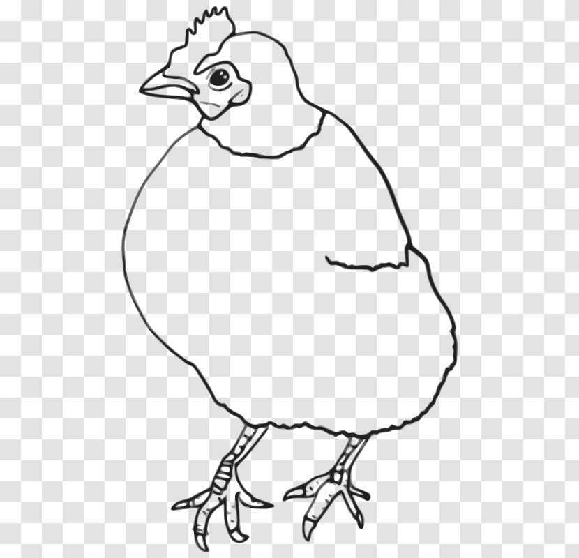 Chicken Clip Art Drawing Vector Graphics Image - Fictional Character Transparent PNG