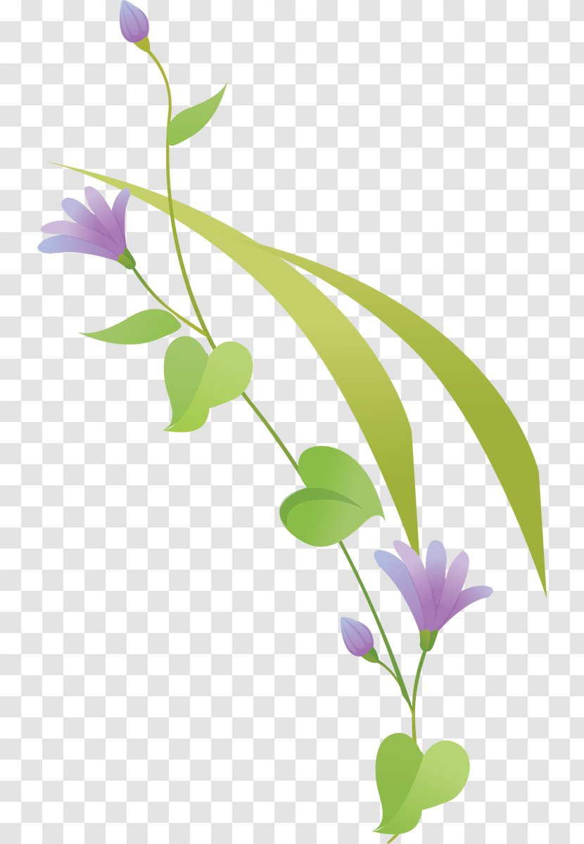 Art Clip - Branch - Design Transparent PNG