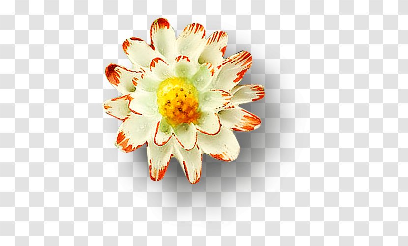 Nelumbo Nucifera Download Google Images Floral Design - Search Engine - Floating Lotus Transparent PNG