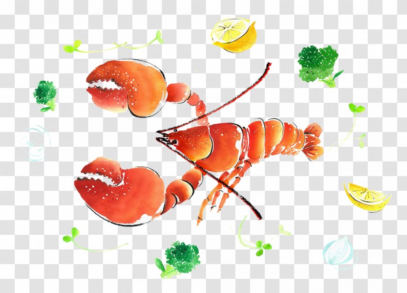 Watercolor Painting Illustration - Poster - Lobster Transparent PNG