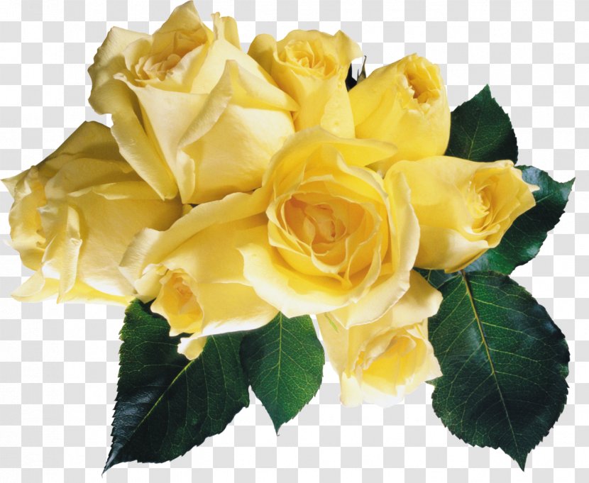 Flower Bouquet Garden Roses Wedding - Cut Flowers - Rose Transparent PNG
