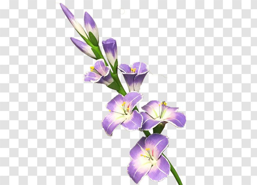 Gladiolus Flower Clip Art - Violet Family - Picture Transparent PNG