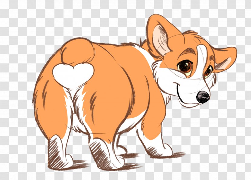 Pembroke Welsh Corgi Clip Art Dingo Snout - Love Transparent PNG