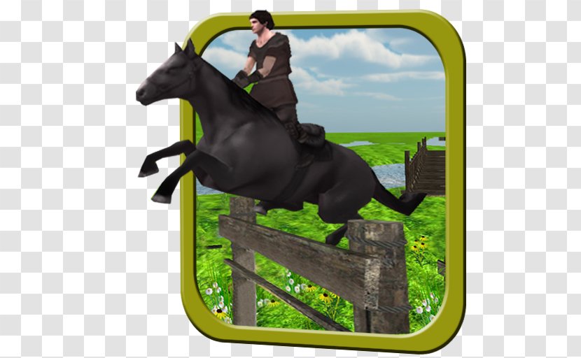 Stallion English Riding Rein Mustang Equestrian - Mane - Adventure Travel Transparent PNG