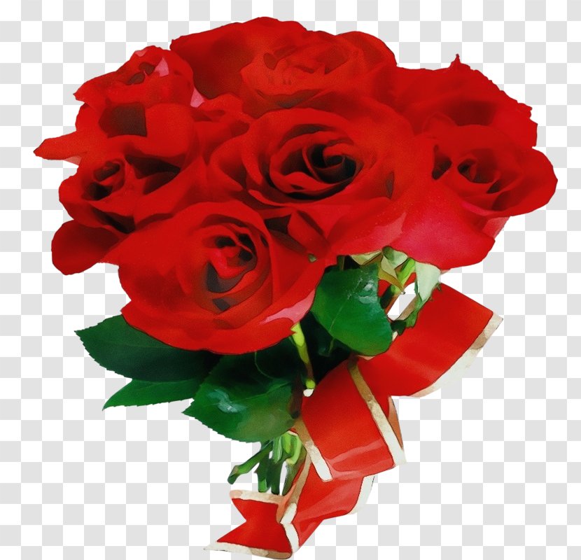 Garden Roses - Flowering Plant - Rose Family Floribunda Transparent PNG