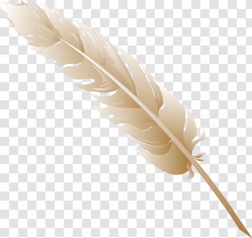 Feather Quill - Wing - Feathers Transparent PNG