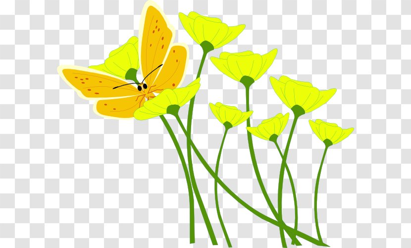 Flower Yellow Poppy Clip Art - Insect - Images Flowers Transparent PNG