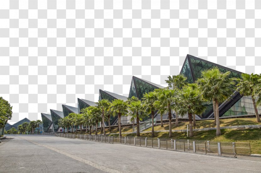 Shenzhen Architecture Designer - Sport - University Games Runway Transparent PNG