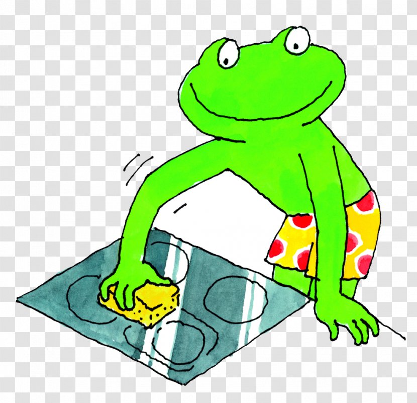 Tree Frog True Toad Detergent - Area Transparent PNG