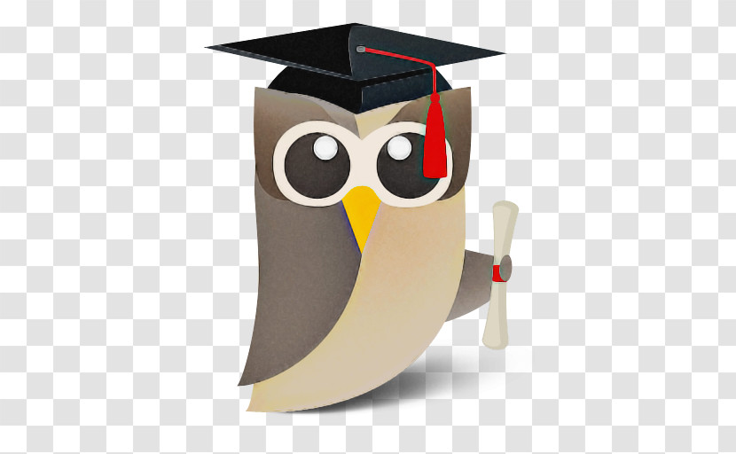 Owls Birds Flightless Bird Beak Science Transparent PNG