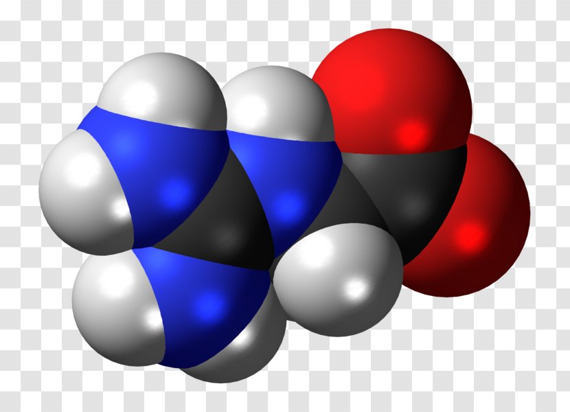 Glycocyamine Succinic Acid Gamma-Aminobutyric Amino - Precursor Version Transparent PNG