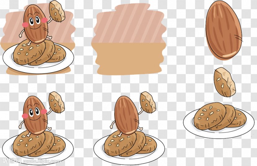 Cartoon Nut Illustration - Biscuit Transparent PNG