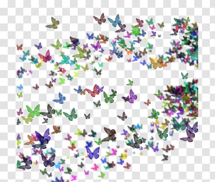 Butterfly Diary You Are So Beautiful Quest Pistols Show Clip Art - Universe Transparent PNG