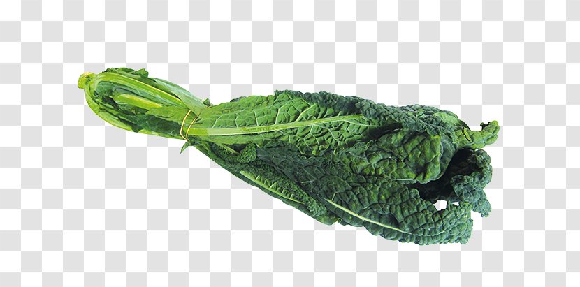 Lacinato Kale Rapini Spring Greens Collard Brussels Sprout - Kohl Transparent PNG