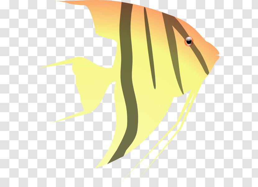 Pterophyllum Altum Fish Clip Art - Cute Angelfish Cliparts Transparent PNG