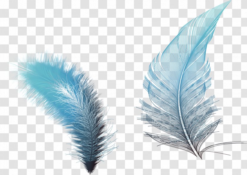 Feather Euclidean Vector RGB Color Model - Software - Hand-painted Feathers Transparent PNG