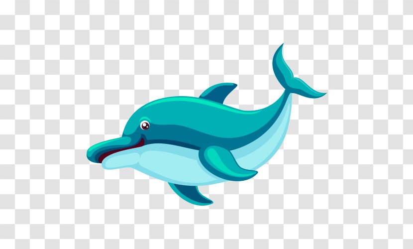 Shark Marine Life Aquatic Animal Cartoon - Fauna - Dolphins Transparent PNG