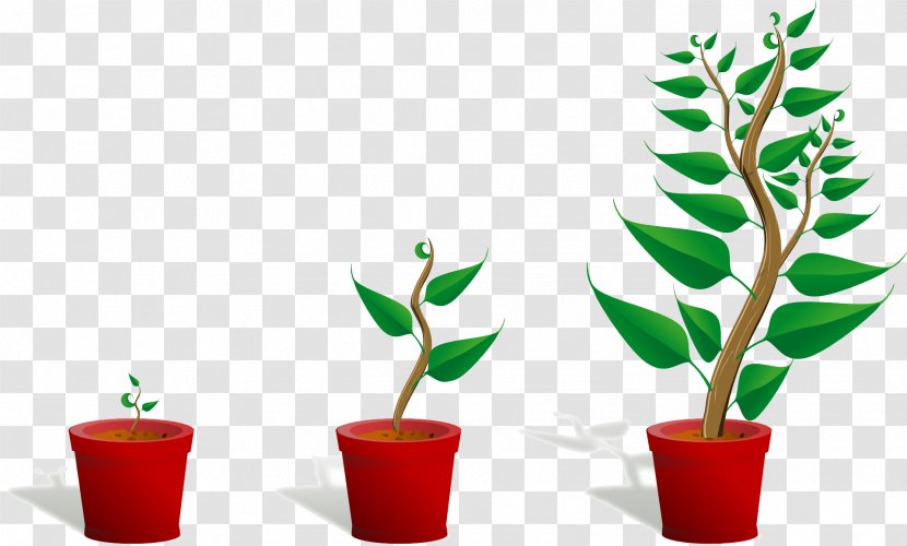 United States Student Pre-school Learning Teacher - Plant - Cartoon Plants Transparent PNG