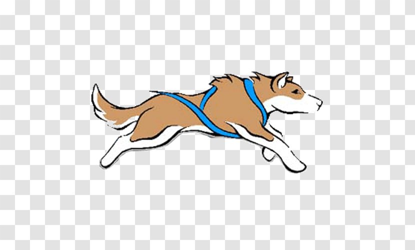 Red Fox Bernese Mountain Dog Keeshond Clip Art - Carnivoran Transparent PNG