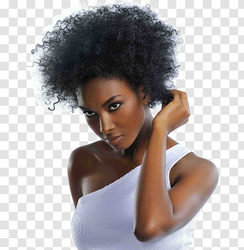 Hairstyle Afro-textured Hair Frizz Care - Updo Transparent PNG